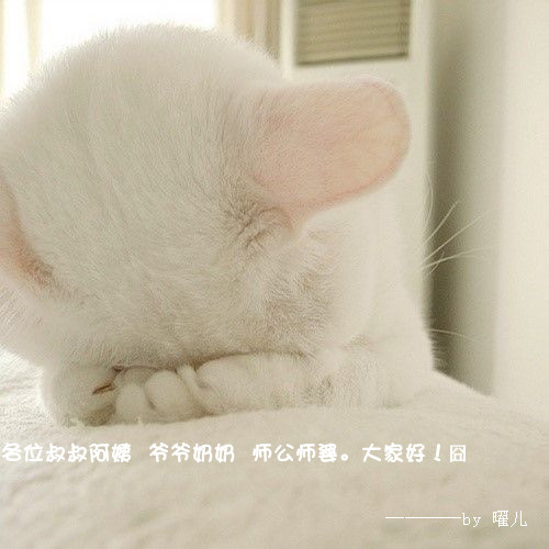 呜呜呜。认亲来啦~~嗷嗷嗷~~