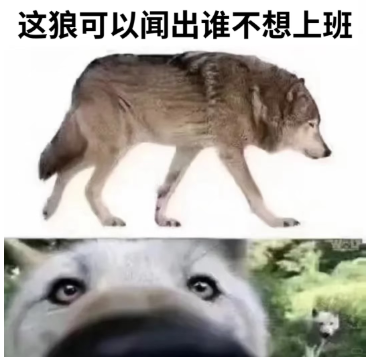 【转】完全不想上班啊啊啊?分享7个哄自己上班的邪修方法!