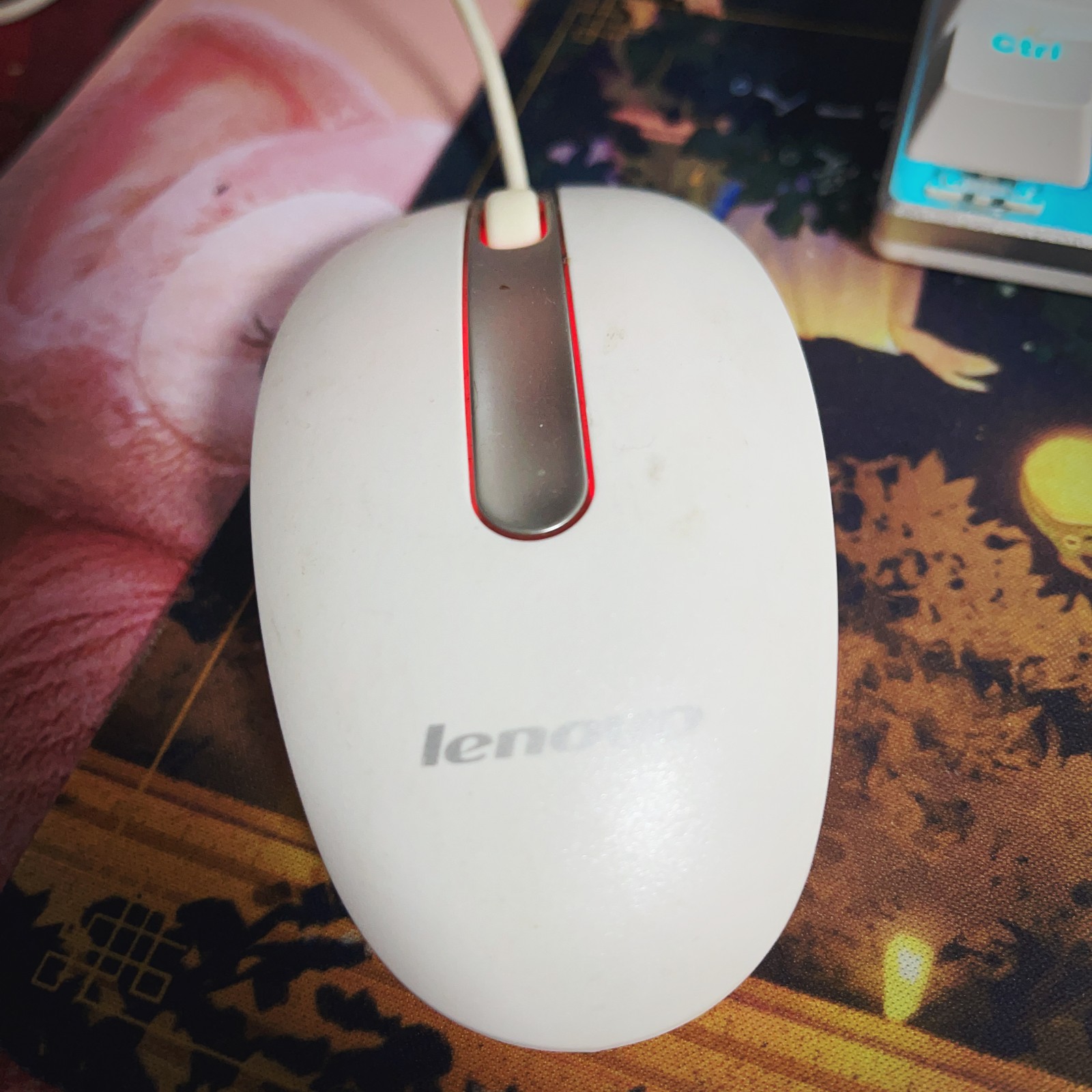 ▍|▍自曝┆十二月签到▍|▍冬天和白色更配哦