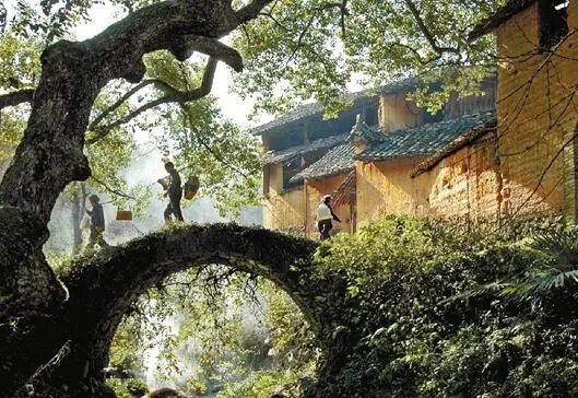 【转】江南最后秘境,丽水这9个地方有最真、最淳朴的空气与天色!