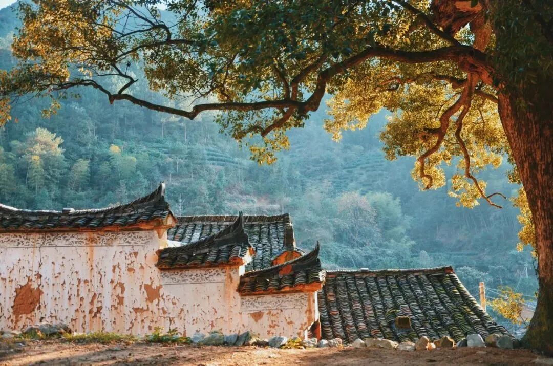 【转】江南最后秘境,丽水这9个地方有最真、最淳朴的空气与天色!