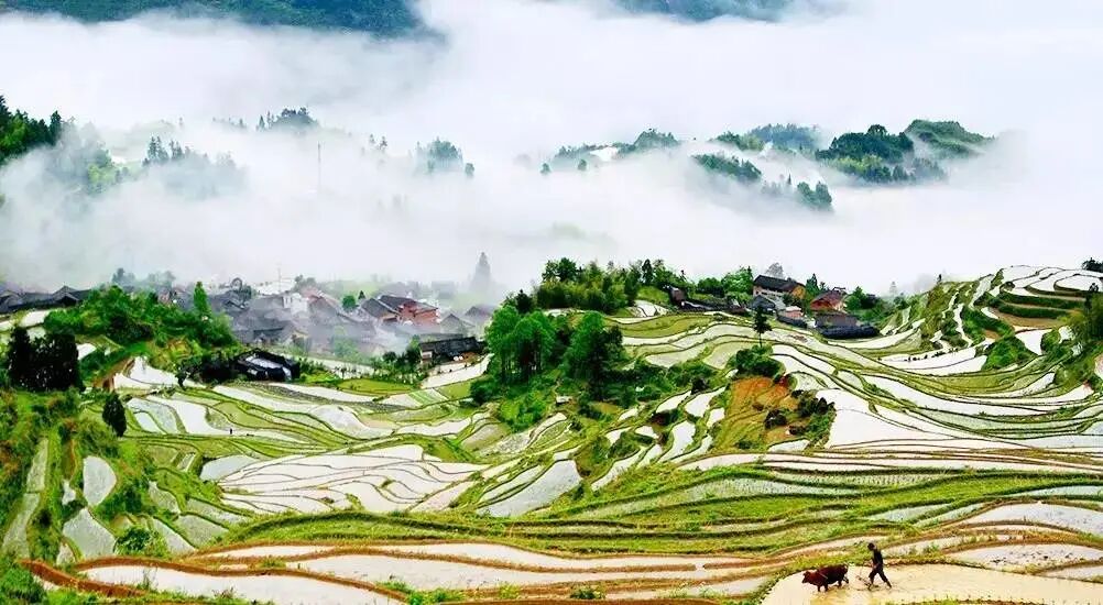 【转】江南最后秘境,丽水这9个地方有最真、最淳朴的空气与天色!