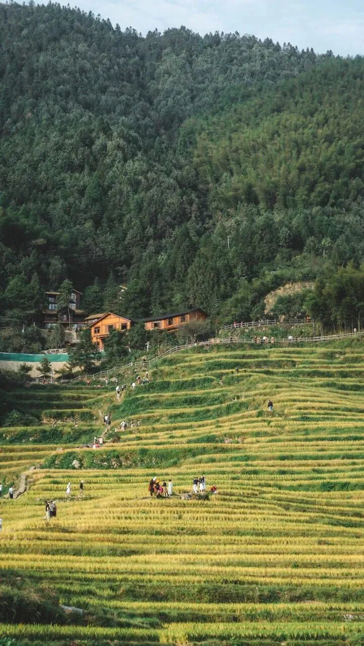 【转】江南最后秘境,丽水这9个地方有最真、最淳朴的空气与天色!