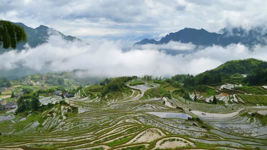 【转】江南最后秘境,丽水这9个地方有最真、最淳朴的空气与天色!