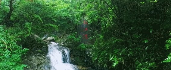 【转】你想要,你得到!假期来衢全部兑现