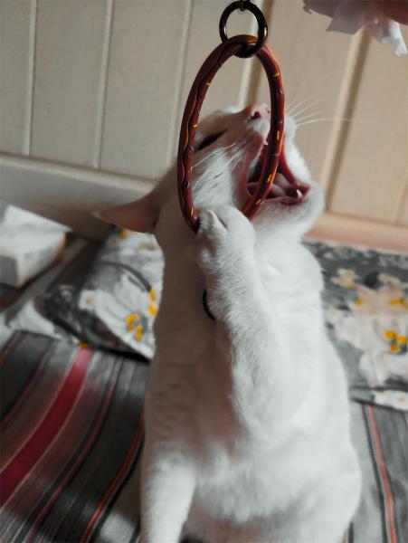 点击查看原图