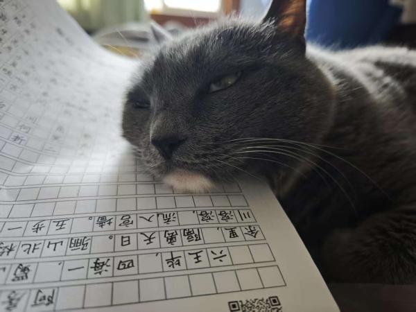 点击查看原图