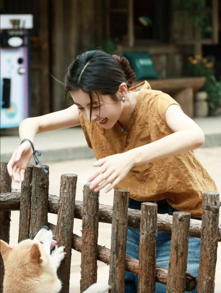 点击查看原图