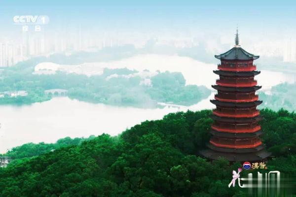 点击查看原图
