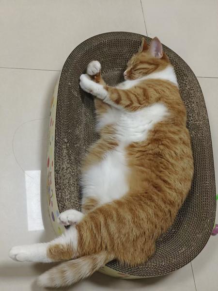 点击查看原图