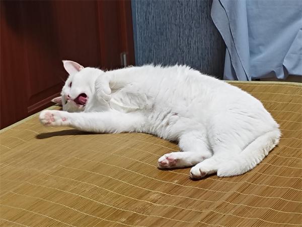 点击查看原图