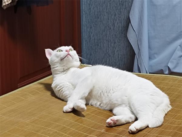 点击查看原图