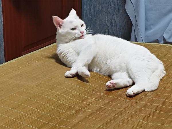 点击查看原图