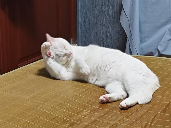 点击查看原图