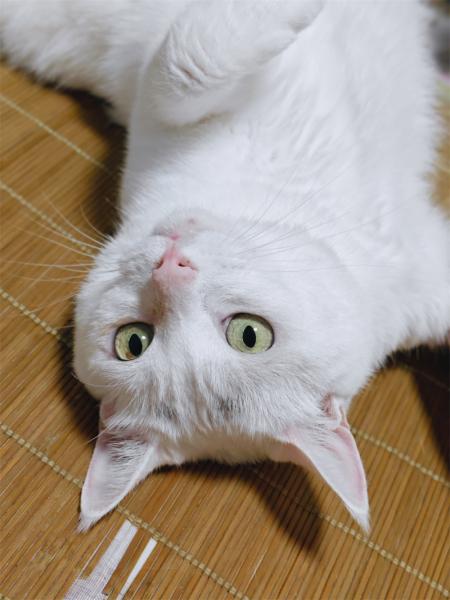 点击查看原图