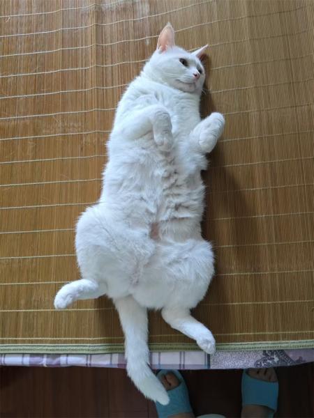 点击查看原图