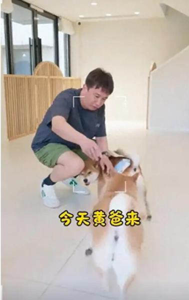 点击查看原图