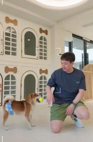 点击查看原图