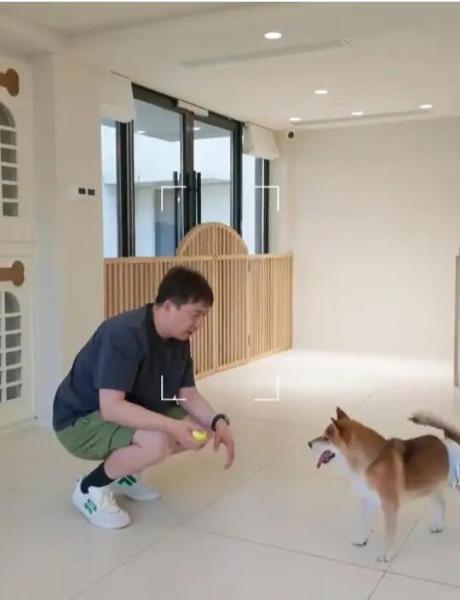 点击查看原图