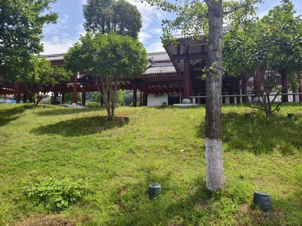 点击查看原图