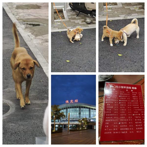 点击查看原图